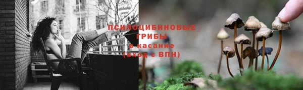 кокс Алзамай