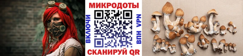 Псилоцибиновые грибы мухоморы  Чаплыгин 